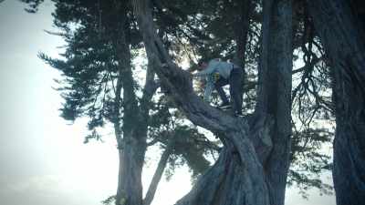 -Noah Dudley Cox,
out of the tree, please, - Good Grief