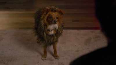Noah, you may be feeling down now, - The Healing Powers of Dude