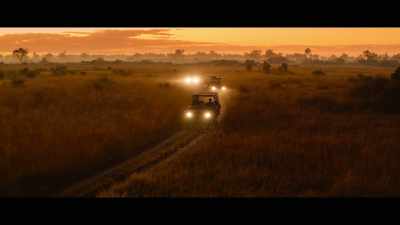 Noah, Noah? - Living with Leopards