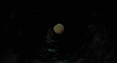 Noah? - The Ring