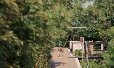 NOAH: Something important to understand
about Fire Island - Fire Island