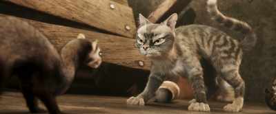 Nobody calls Gracie
names but me. - Gracie & Pedro: Pets to the Rescue