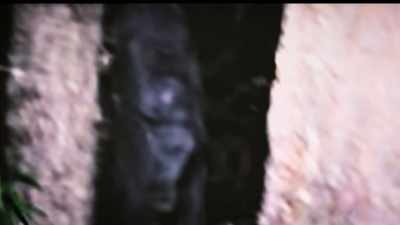 Nobody can explain it.
There's no experts on it. - Secrets of the Sasquatch
