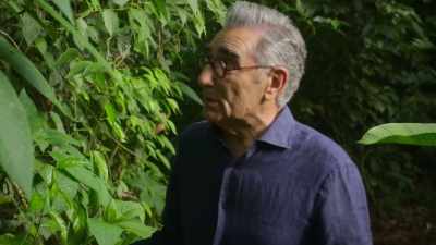 Nobody ever knew - The Reluctant Traveler with Eugene Levy