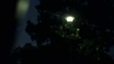 NOBODY KNOWS FOR SURE
WHERE SHE WENT. - The Golden State Killer: It's Not Over