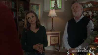 Nobody needs carriage rides, - A Blue Ridge Mountain Christmas