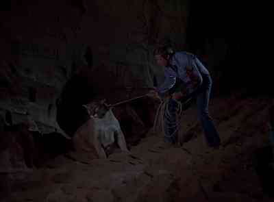 Nobody!
Nobody kills that cougar! - The Six Million Dollar Man