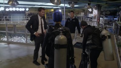 Nobody reported
a shark attack anywhere - Bones