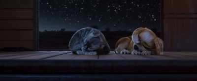 Nobody rides for free! - Gracie & Pedro: Pets to the Rescue