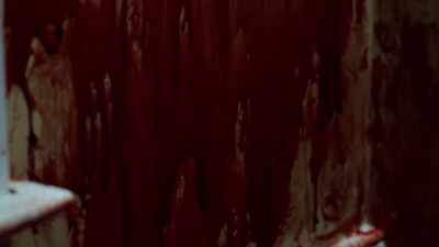 NOBODY SHOULD SEE THIS." - An American Murder Mystery: The Staircase