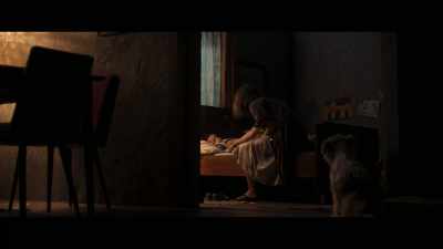 Nobody sleeps in the woods tonight." - Nobody Sleeps in the Woods Tonight
