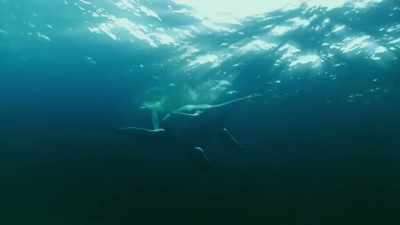 Nobody has taken a rock
tied to a string - The Alaska Triangle