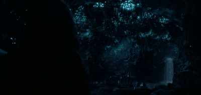 Nobody will find us here.
It's a cave, well hidden. - See