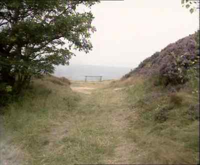 NOISE FADES - Last of the Summer Wine
