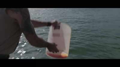 (Nolan grunts) - Bull Shark 3