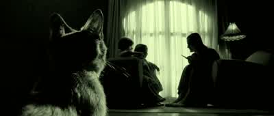 - Non merci, ma petite dame. - Amélie