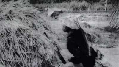 
None did any real damage,
 - The Vietnam War