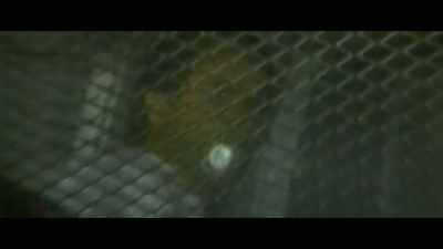 Nonetheless, it was
still a predator - Invisible Monsters: Serial Killers in America