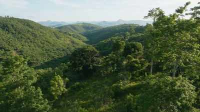 Nor, ultimately, is it to ours. - The Green Planet