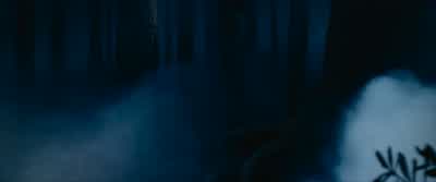 Norbert?- Yeah, well, he's gotta have a name, don't he? - Harry Potter and the Philosopher's Stone