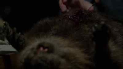 Norma: Norman? - Bates Motel