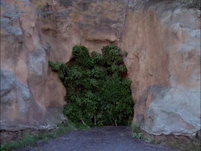 NORMALLY, IT'S BOARDED OVER
JUST UNDER THAT BRUSH THERE. - Hawaii Five-O