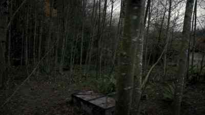 Norman: Hello? - Bates Motel