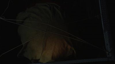 Norrie: Now all we have to do is get Angie. - Under the Dome