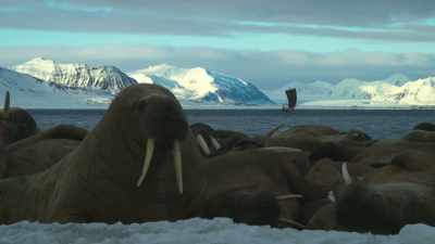 Norse mythology was
celebrated here - Wild Ways of the Vikings