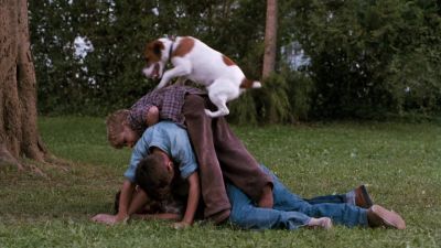 Not a bad run Willie for a sissy - My Dog Skip