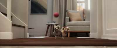 Not a chance. - Gracie & Pedro: Pets to the Rescue