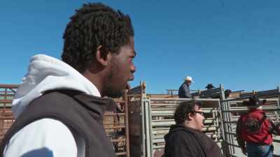 - Not a real one.
- [bull grunting] - Jackass Forever