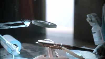 Not even a trace of blood. - CSI: Vegas
