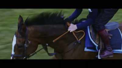 Not your average
riding school pony. - Horsepower