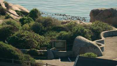 Not everyone is penguin-friendly. - Penguin Town