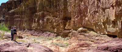 Not exactly a flat surface, - Is Genesis History?