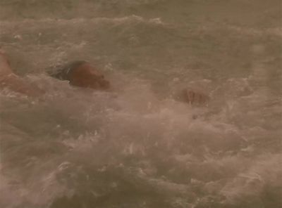 Not so fast, Red. - Miami Vice