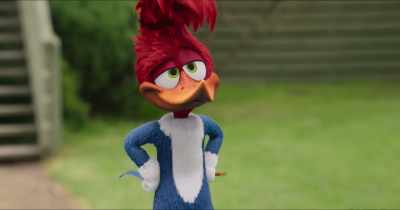 Not so fast. - Woody Woodpecker Goes to Camp