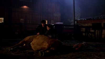 Not feeling too good? - Smallville