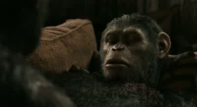 Not humanKoba - Dawn of the Planet of the Apes