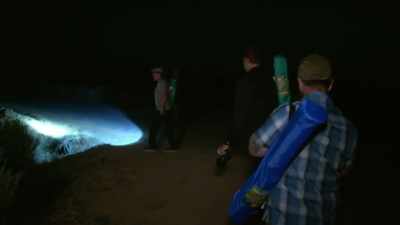 Not that I know where I'm going,
but come on and follow me. - Jack Osbourne's Night of Terror: UFOs