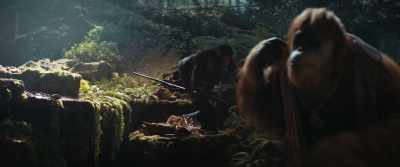 Not "is." - Kingdom of the Planet of the Apes