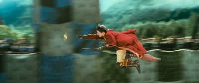 Not kill you, sir.Never kill you. - Harry Potter and the Chamber of Secrets