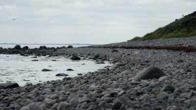 Not knowing where her body is, - Once Upon a Time in Northern Ireland