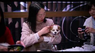 Not like husband, - Dogs