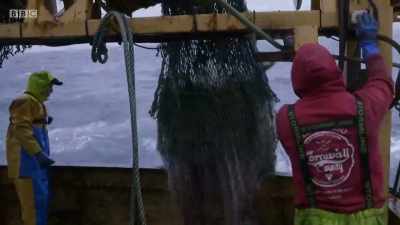 Not looking that good, is it? - Cornwall: This Fishing Life