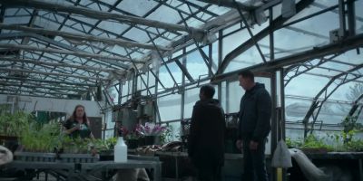 Not many flowers in today? - Silent Witness