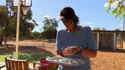 Not much. I don't think
there's going to be much in it. - Outback Opal Hunters