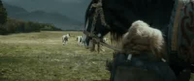 Not my horse! - The Hobbit: The Desolation of Smaug