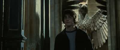 Not necessary, Harry. - Harry Potter and the Goblet of Fire